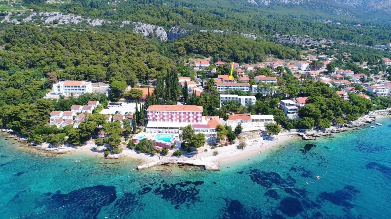 Dusanka Orebic