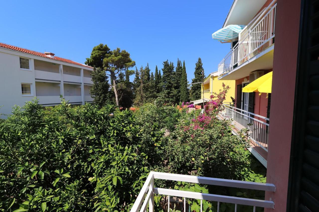 Apartment Dusanka Orebic