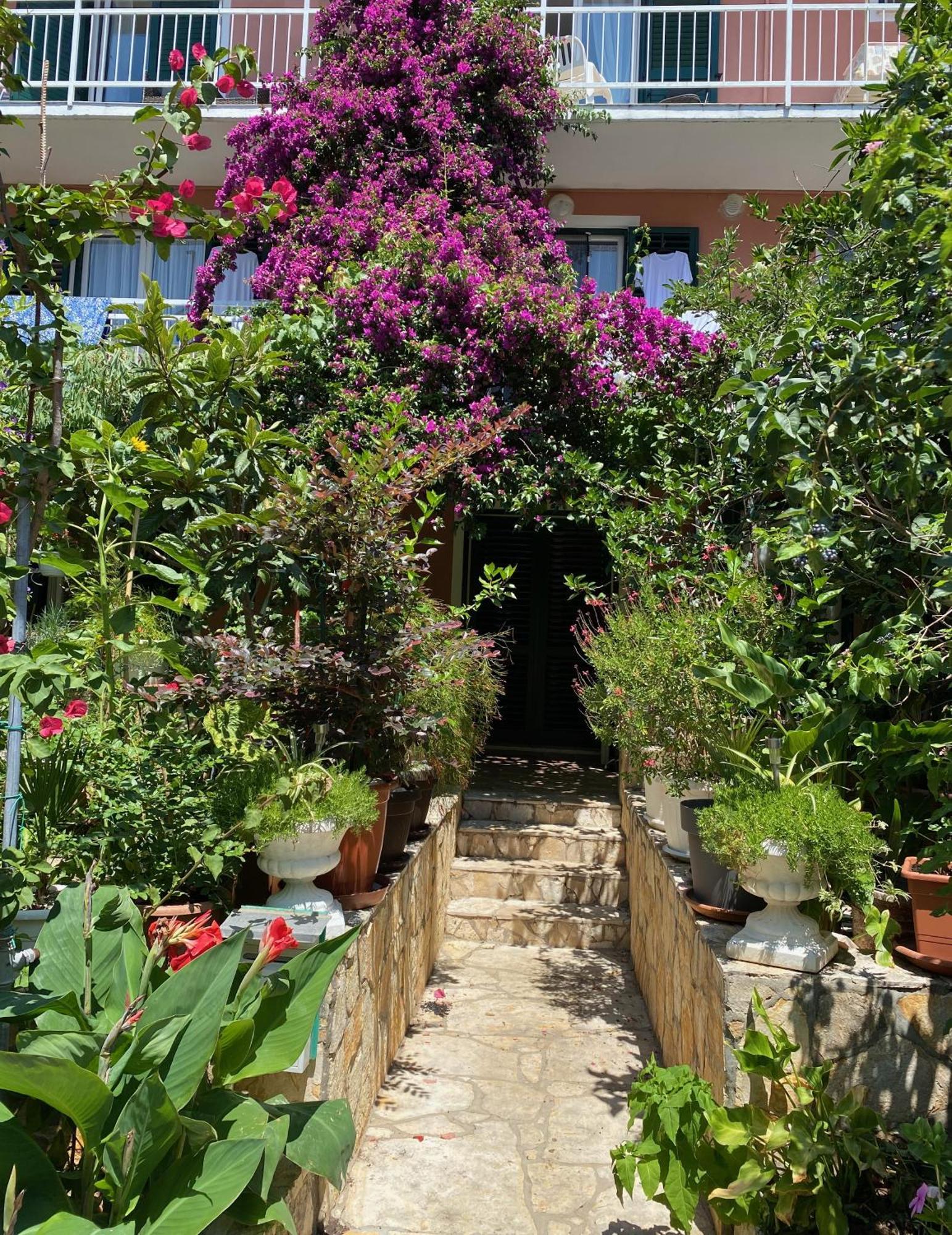 Dusanka Apartment